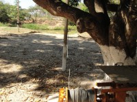 /album/guincho-/guincho-jpg2/