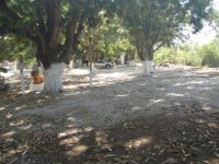 /album/rancho-do-coqueiro/dsc01922-jpg/