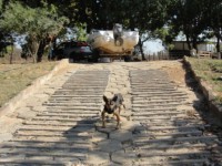 /album/rancho-do-coqueiro/raa-jpg1/